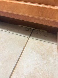 Food and old spilled soda