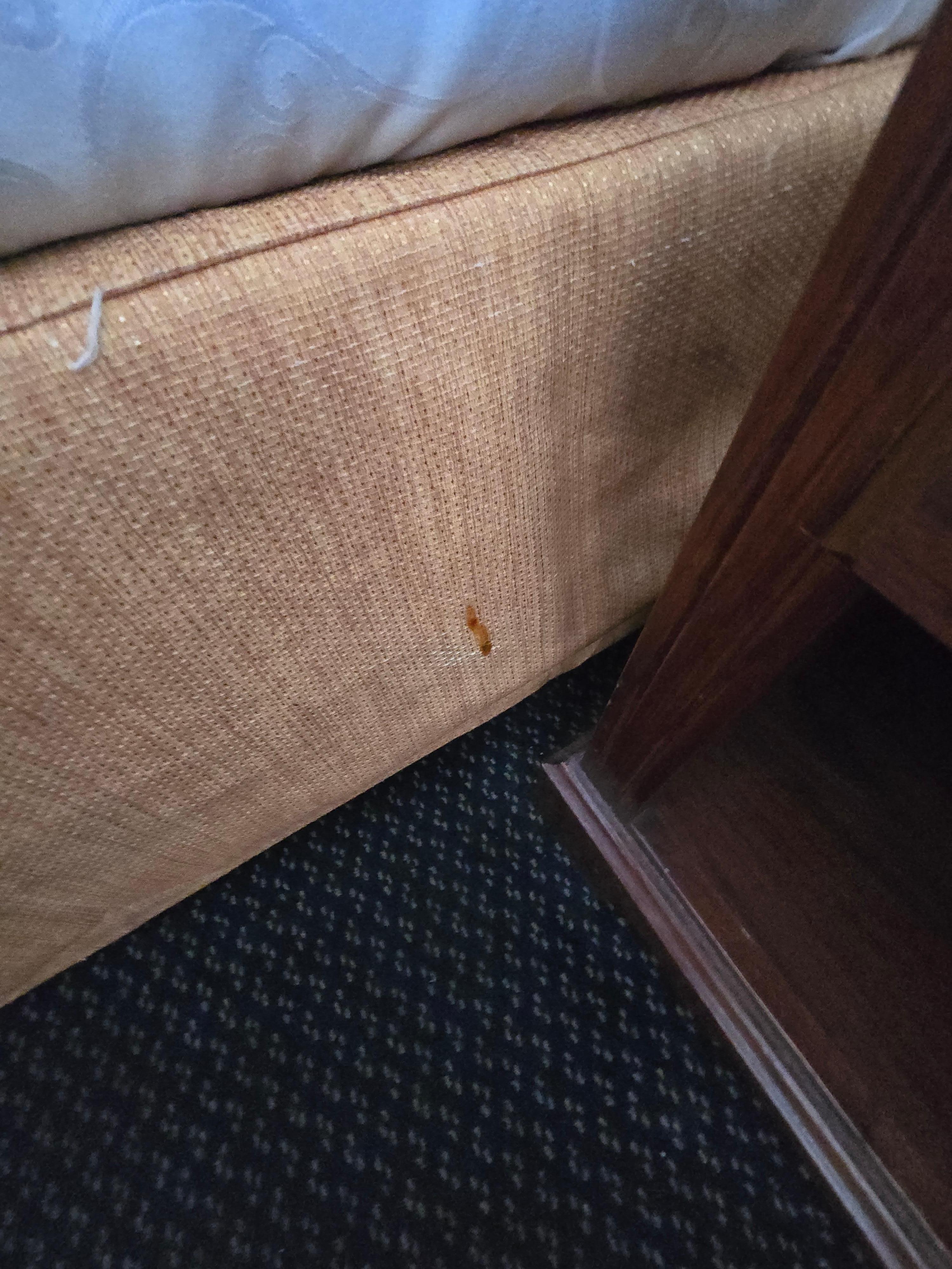 Blood or ketchup 