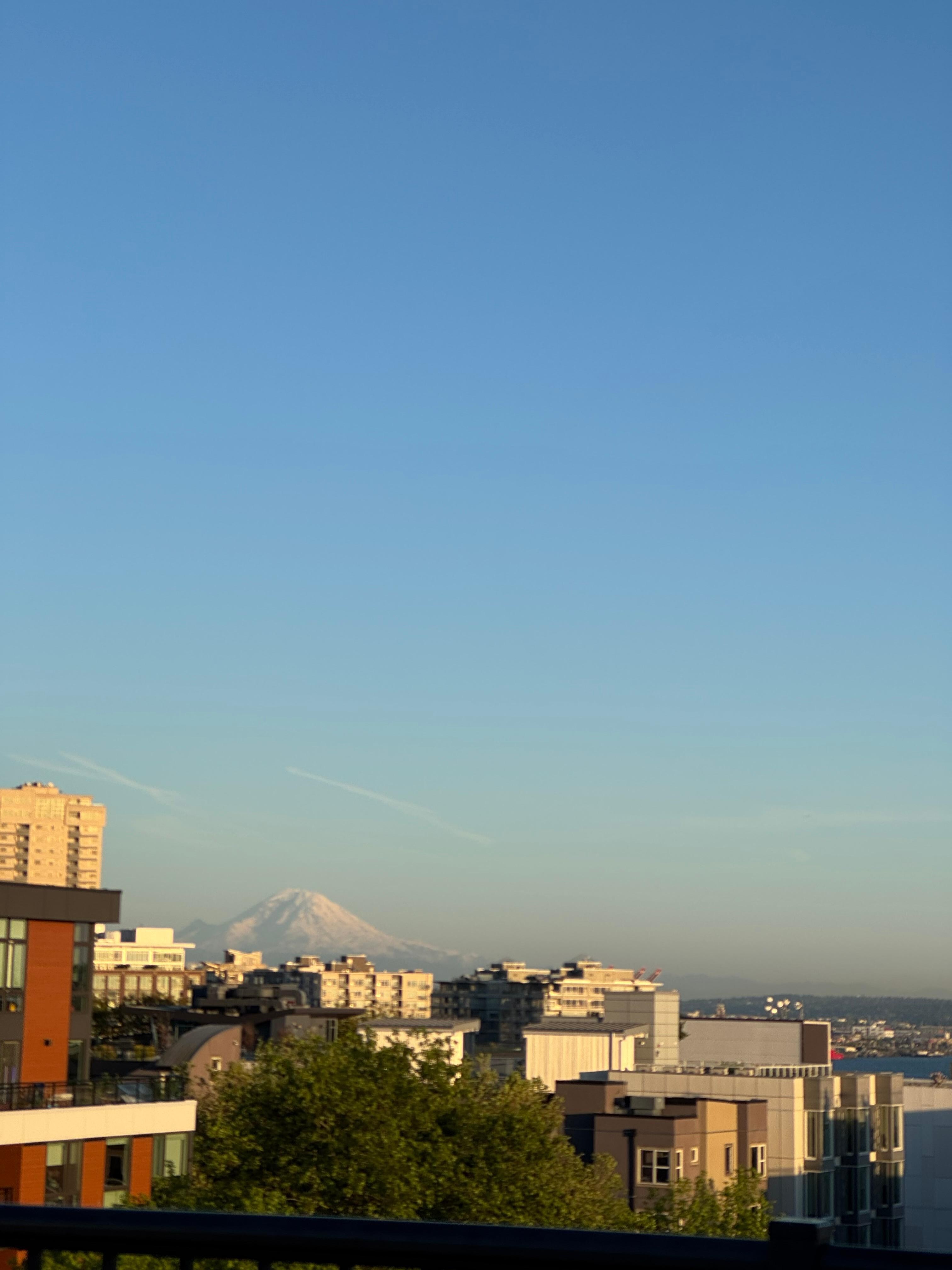 Rooftop view 