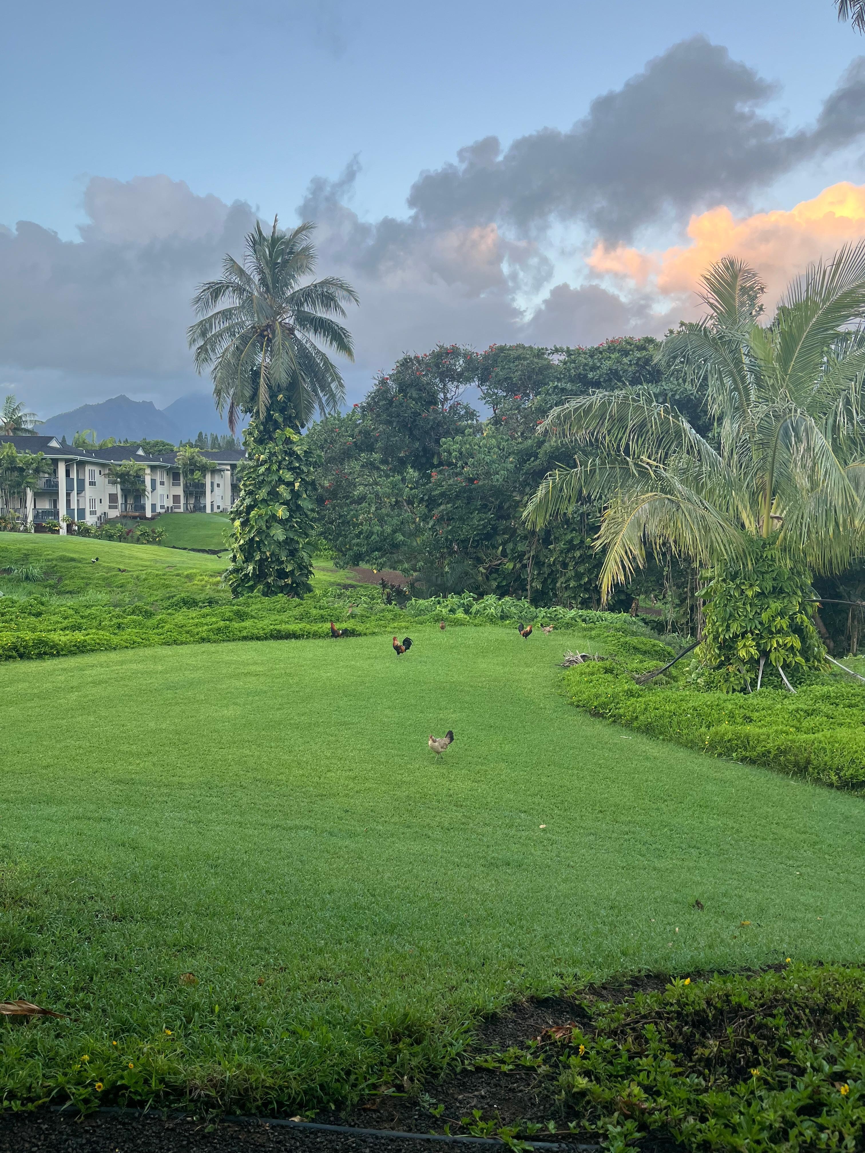 Beautifully kept grounds and magnificent views from the patio.