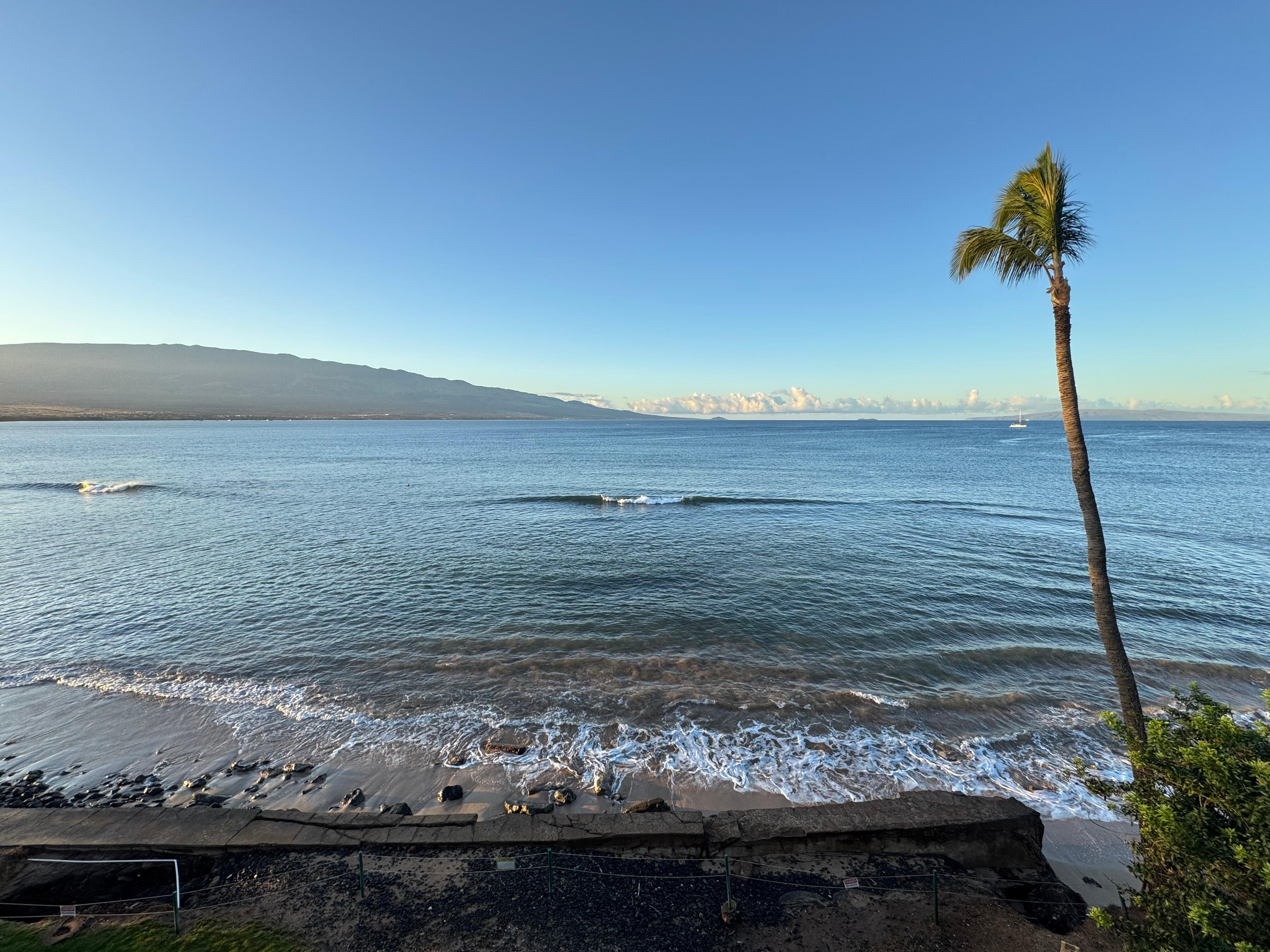 View from the lanai