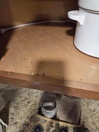 Crumbs in cabinet