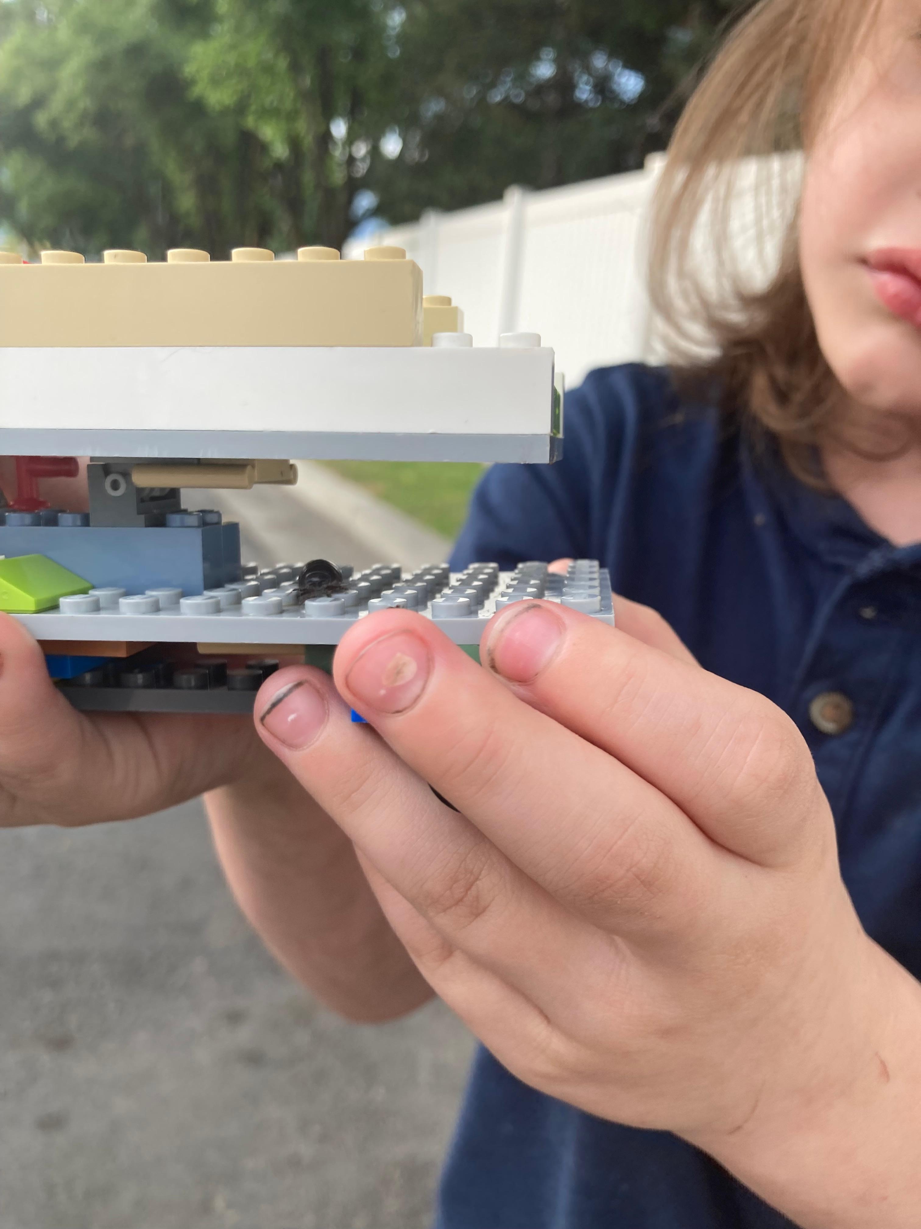 My grandson found many Rollie pollies this one is riding in his Lego truck.