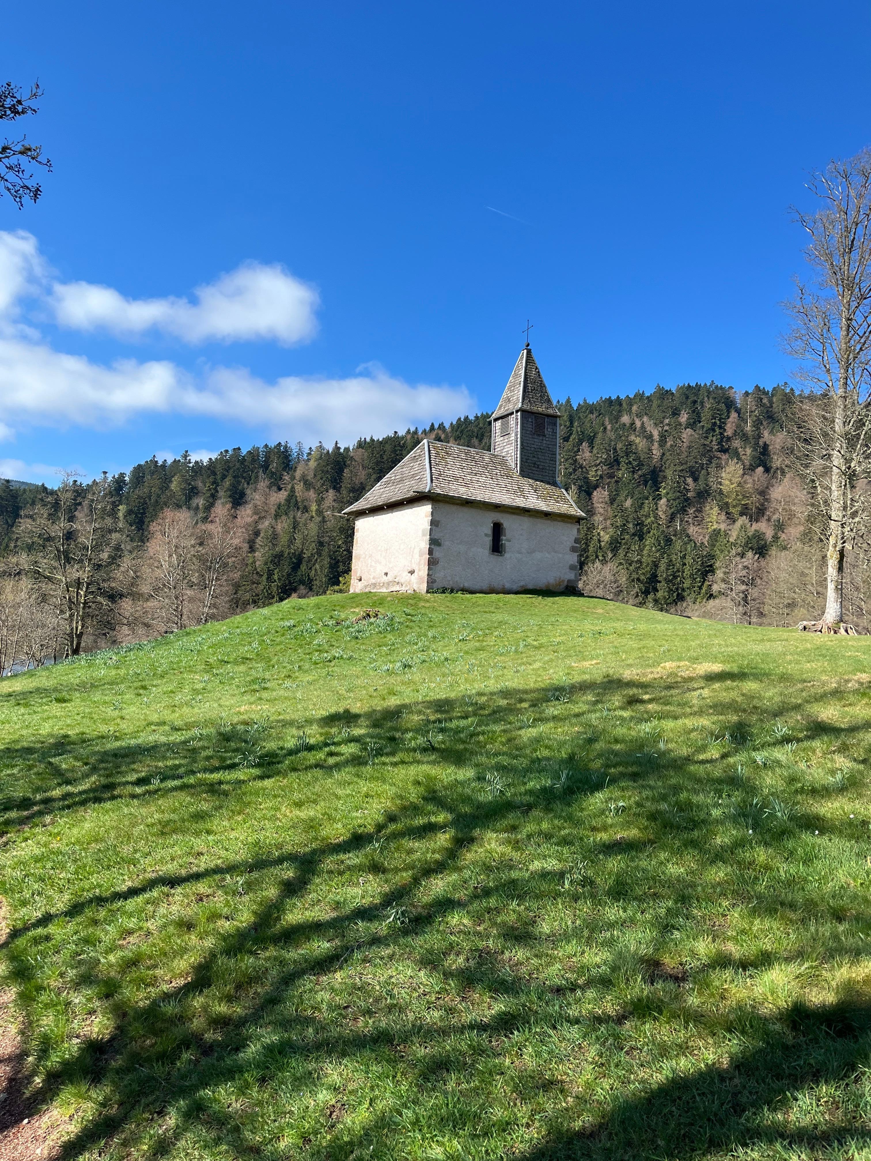 Près du lac de Longemer
