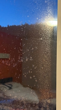 mold stuck in the window