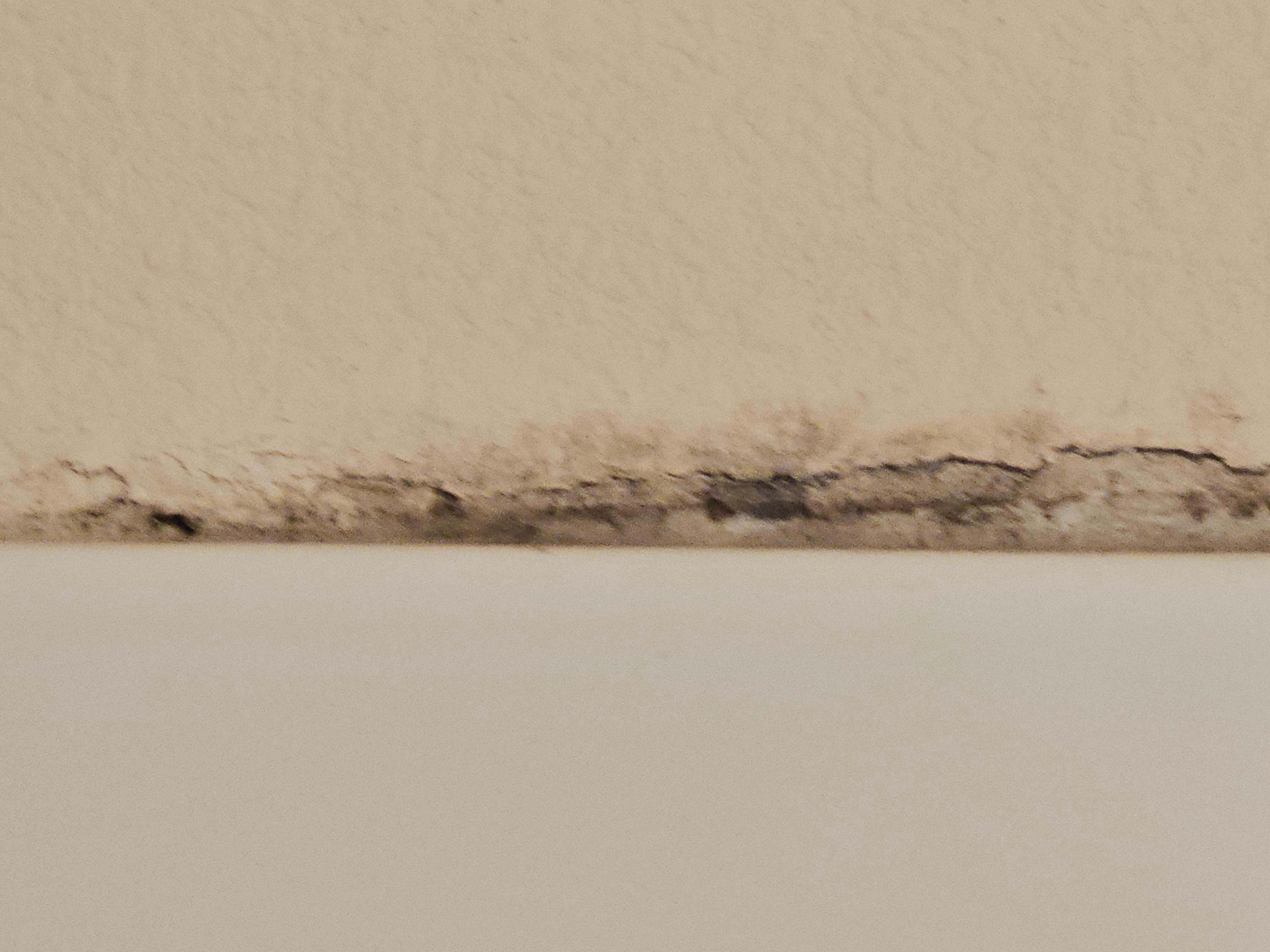 Mold around shower enclosure . Room 207