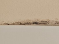 Mold around shower enclosure . Room 207