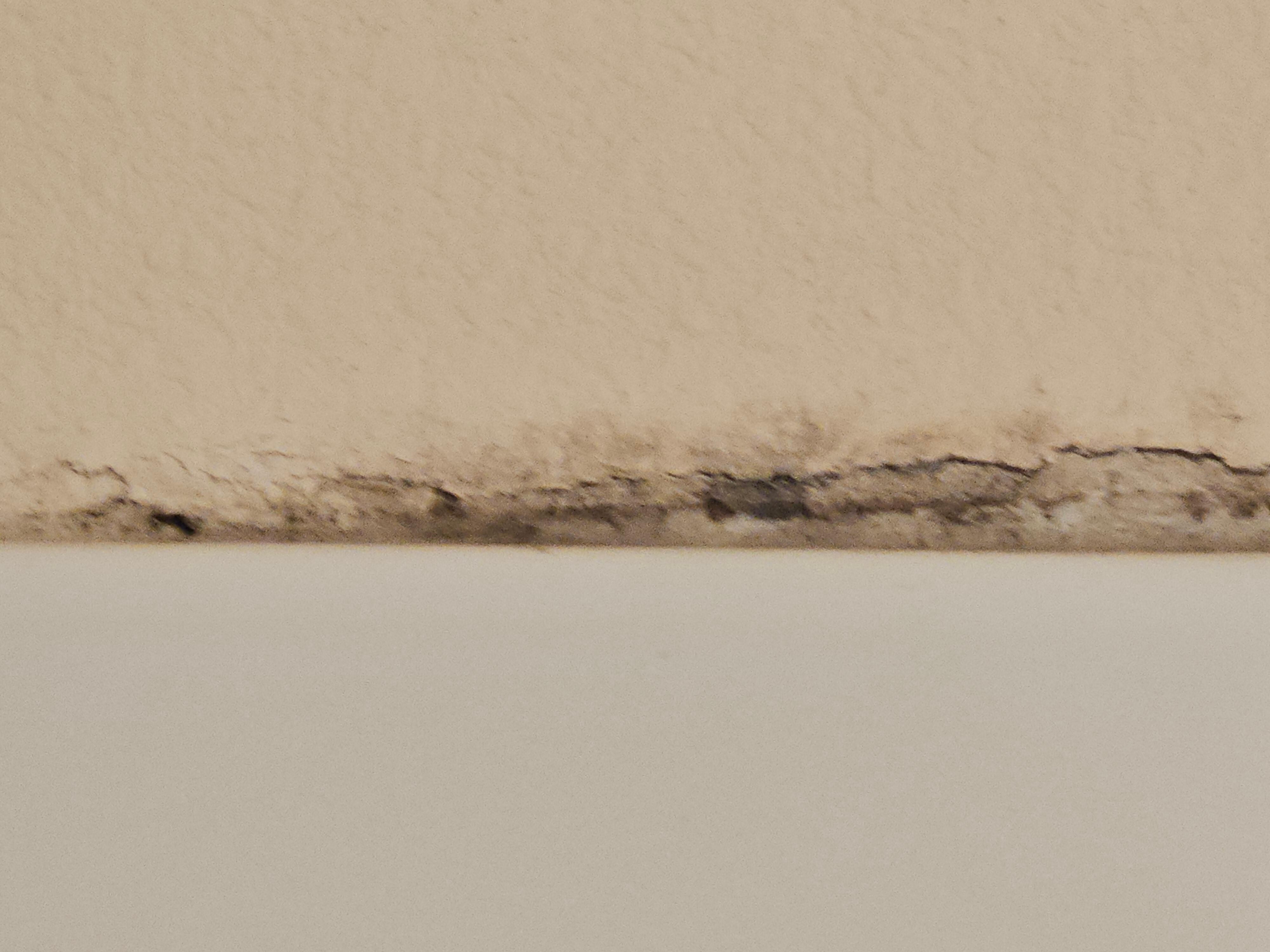 Mold around shower enclosure . Room 207
