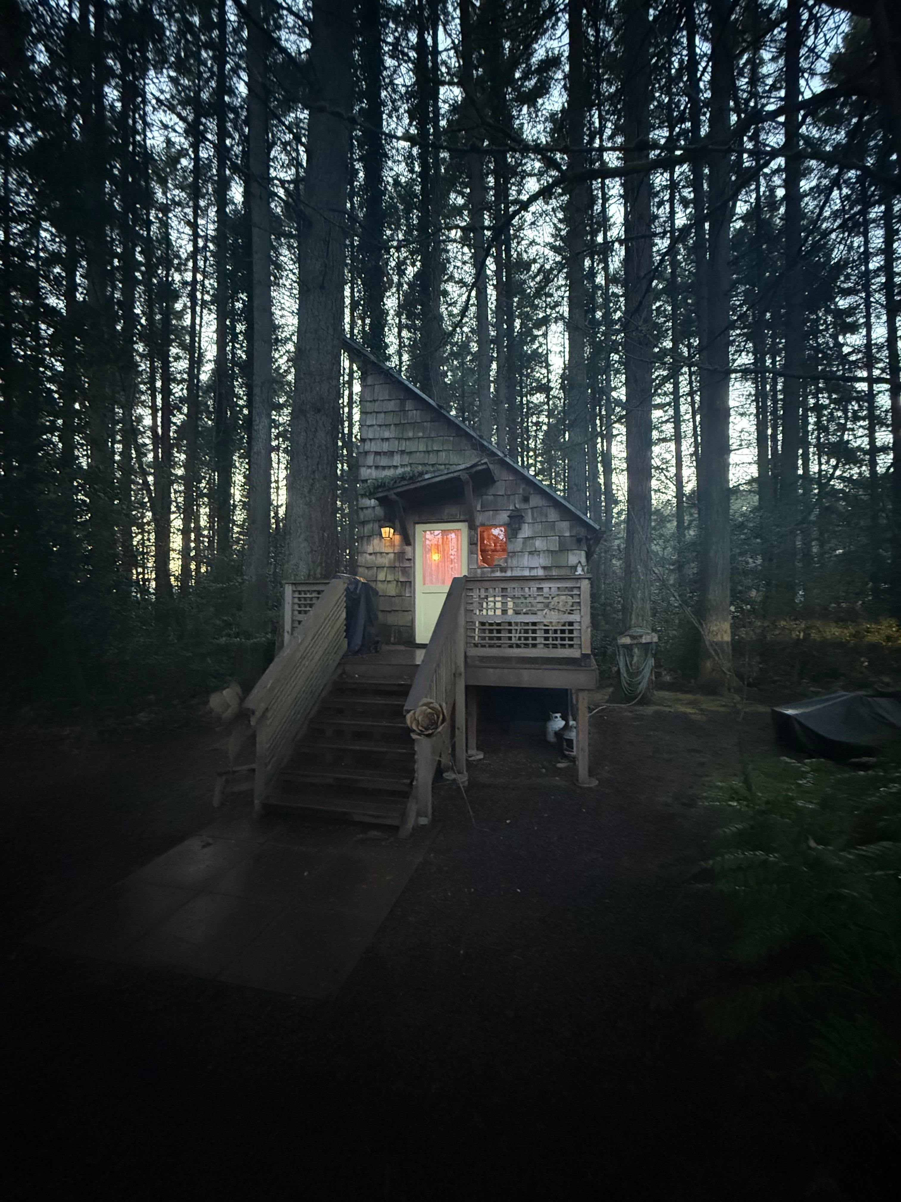 Absolutely beautiful 