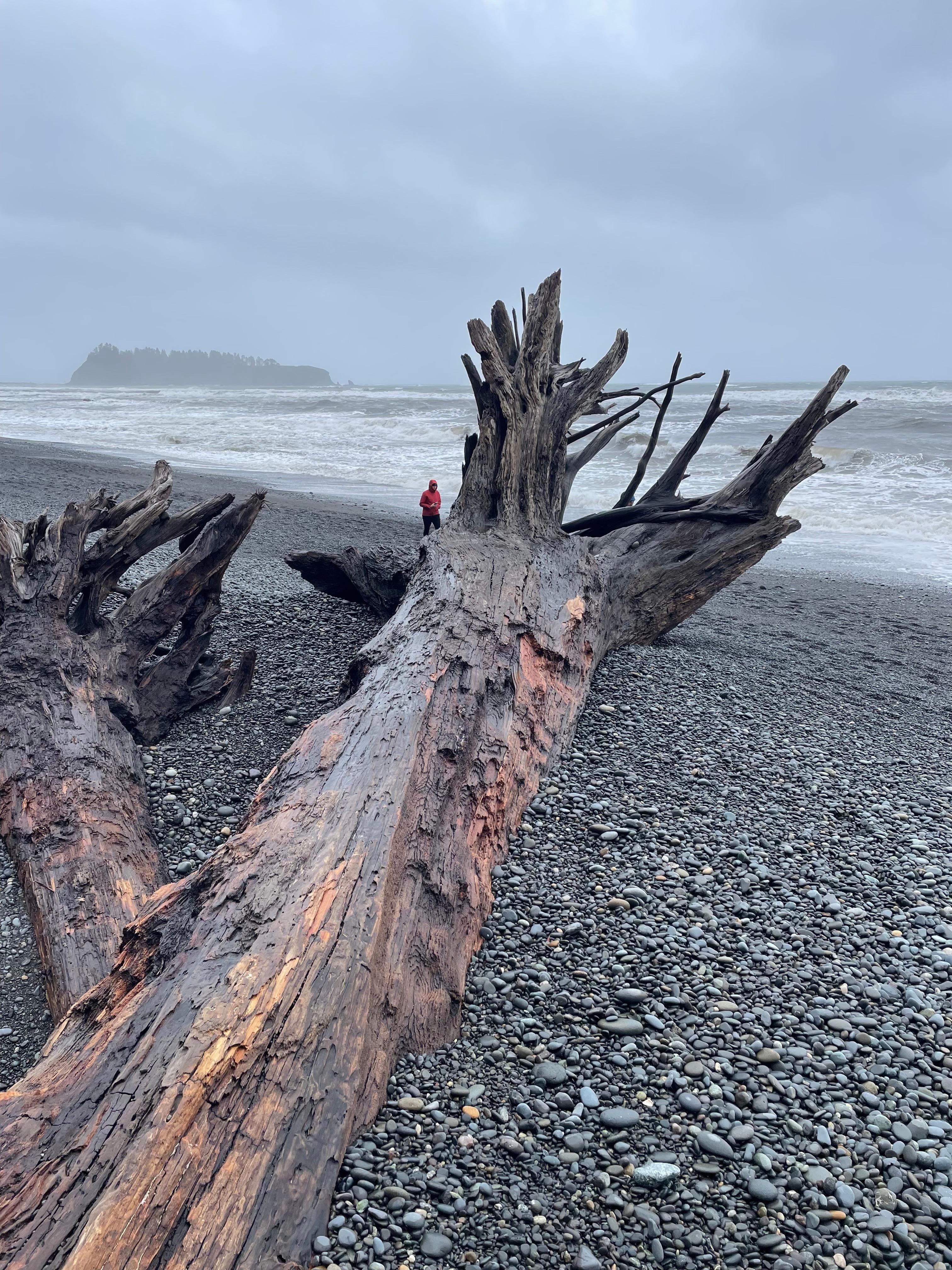 Beautiful breach walk a couple blocks away. Our evening ritual.