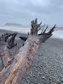 Beautiful breach walk a couple blocks away. Our evening ritual.