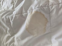 Stain
