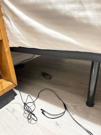 Dead bird under bed