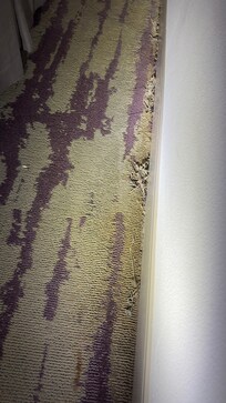 Ripped carpet