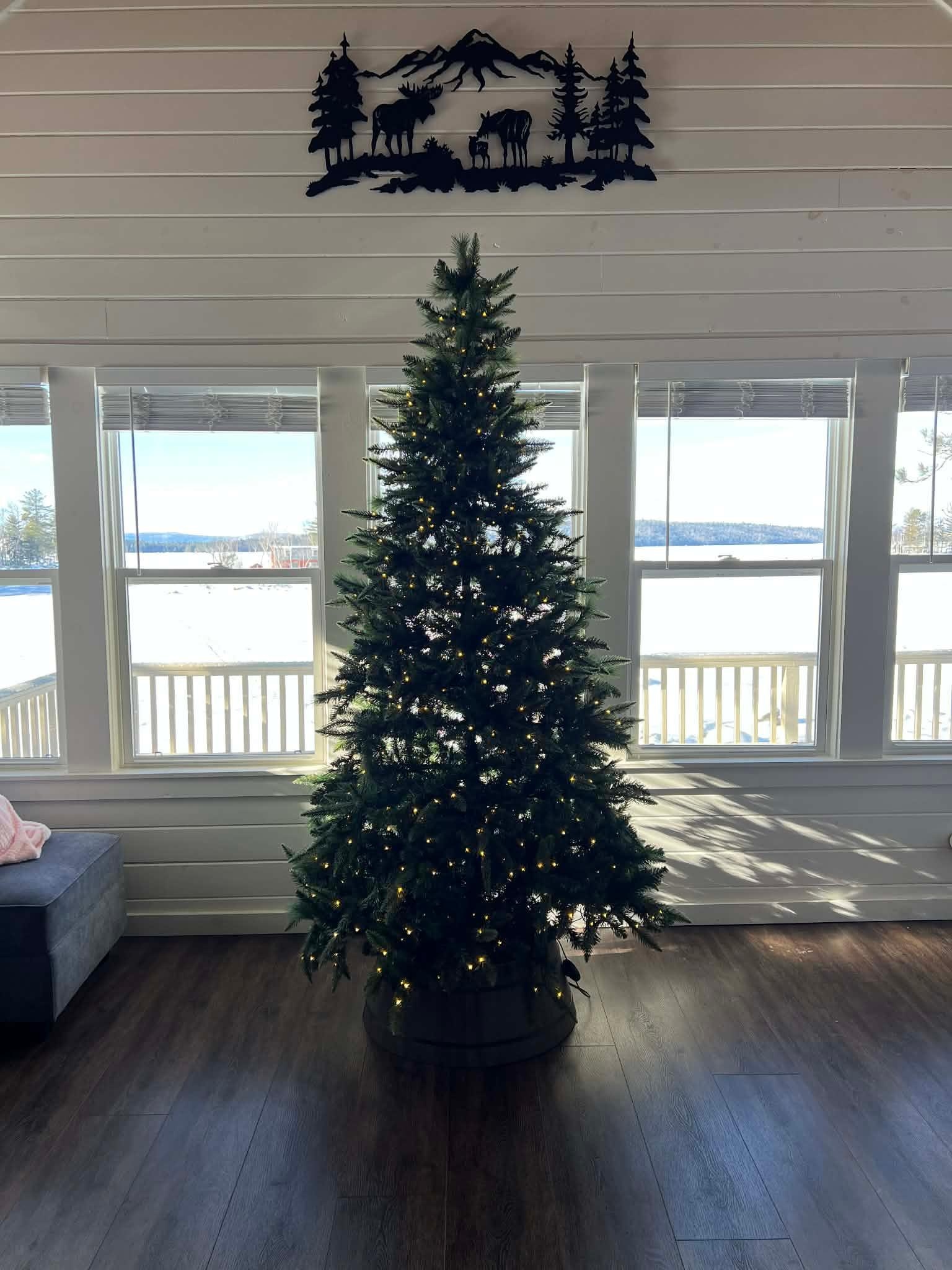 From inside looking out on the lake