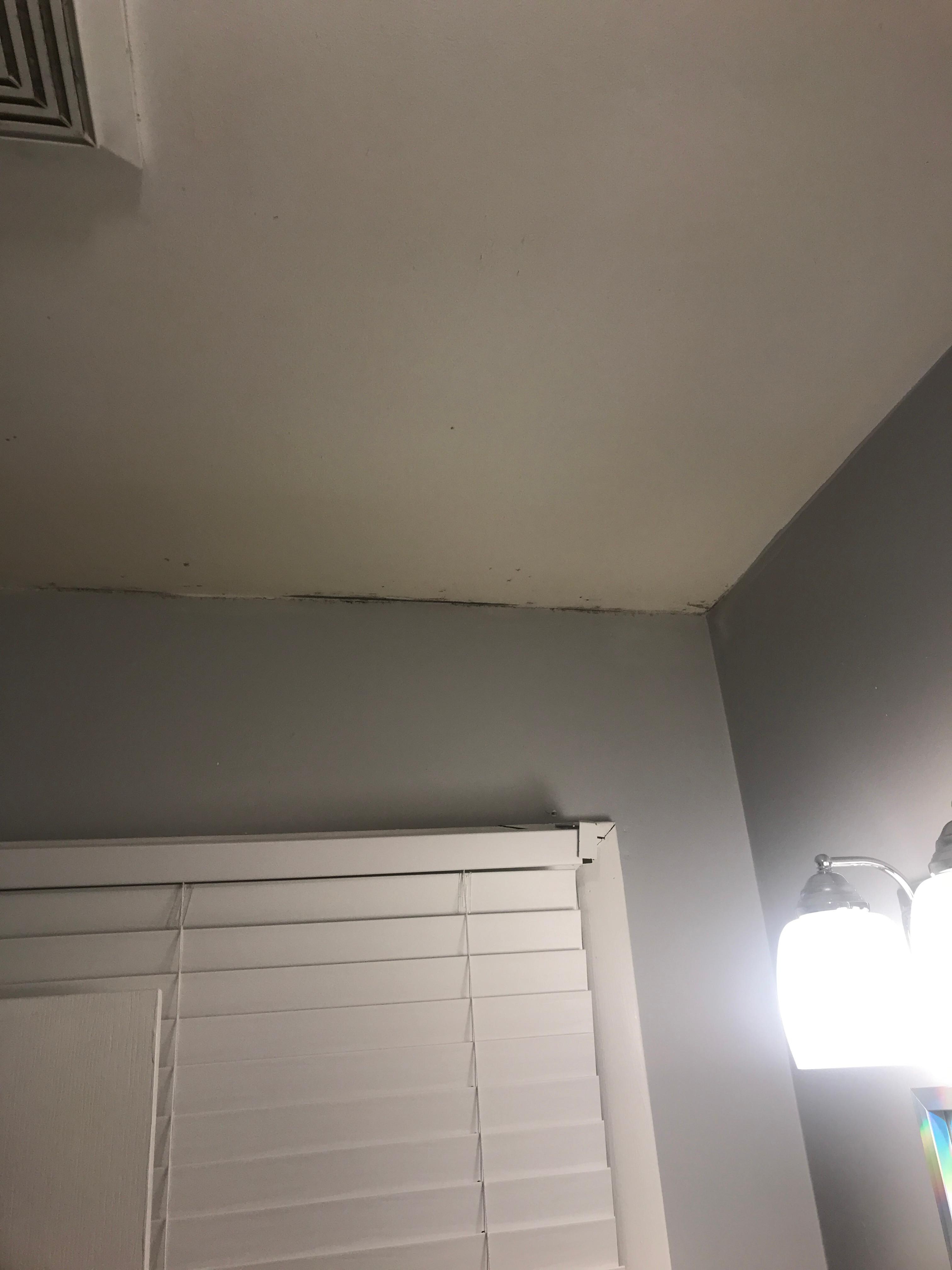 Black mold.  Whole ceiling is staring mold.
