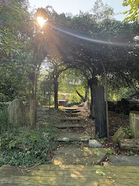 Foliage by the coy pond