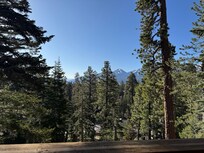 Beautiful view from the patio.