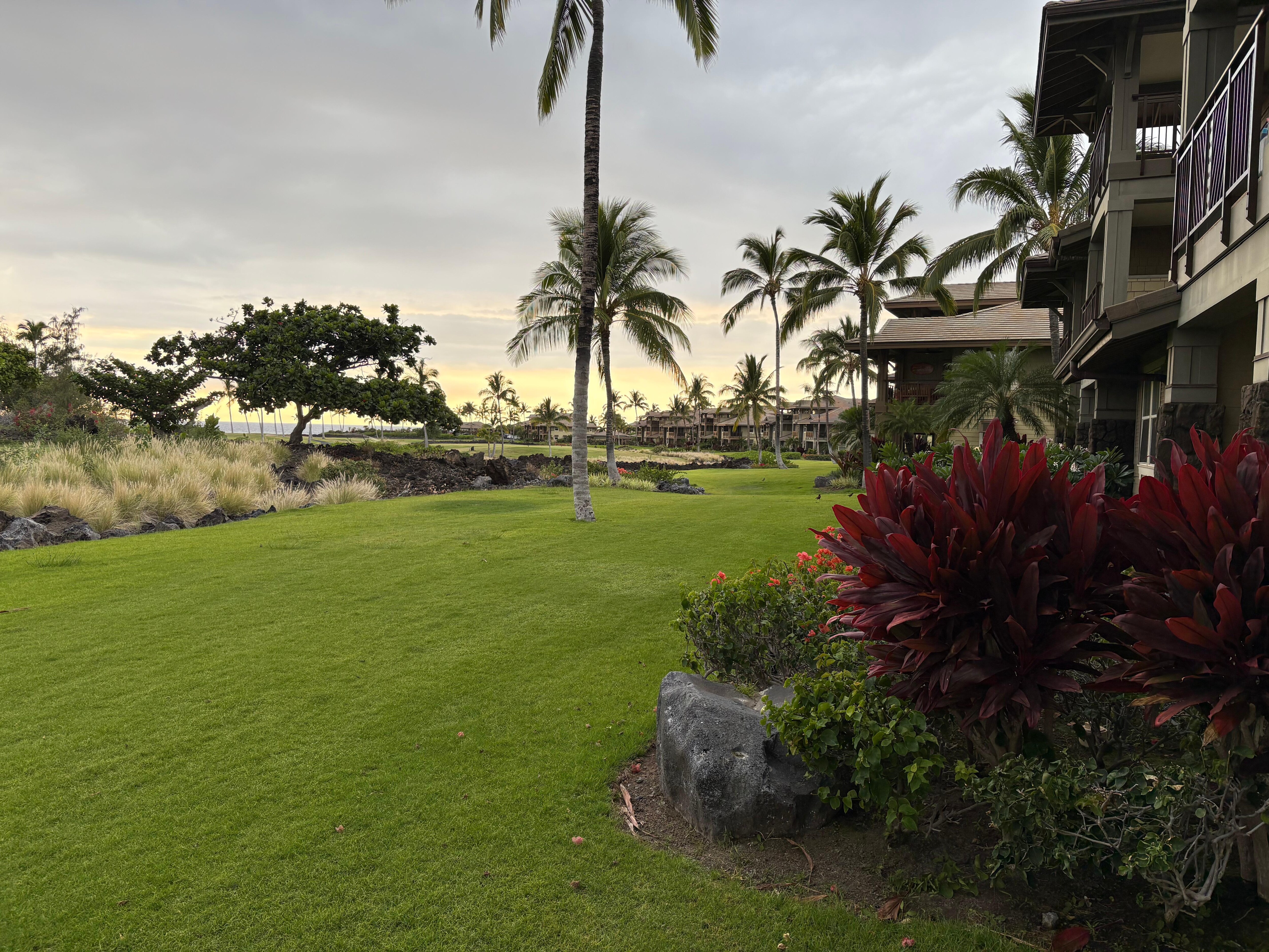 From the Lanai