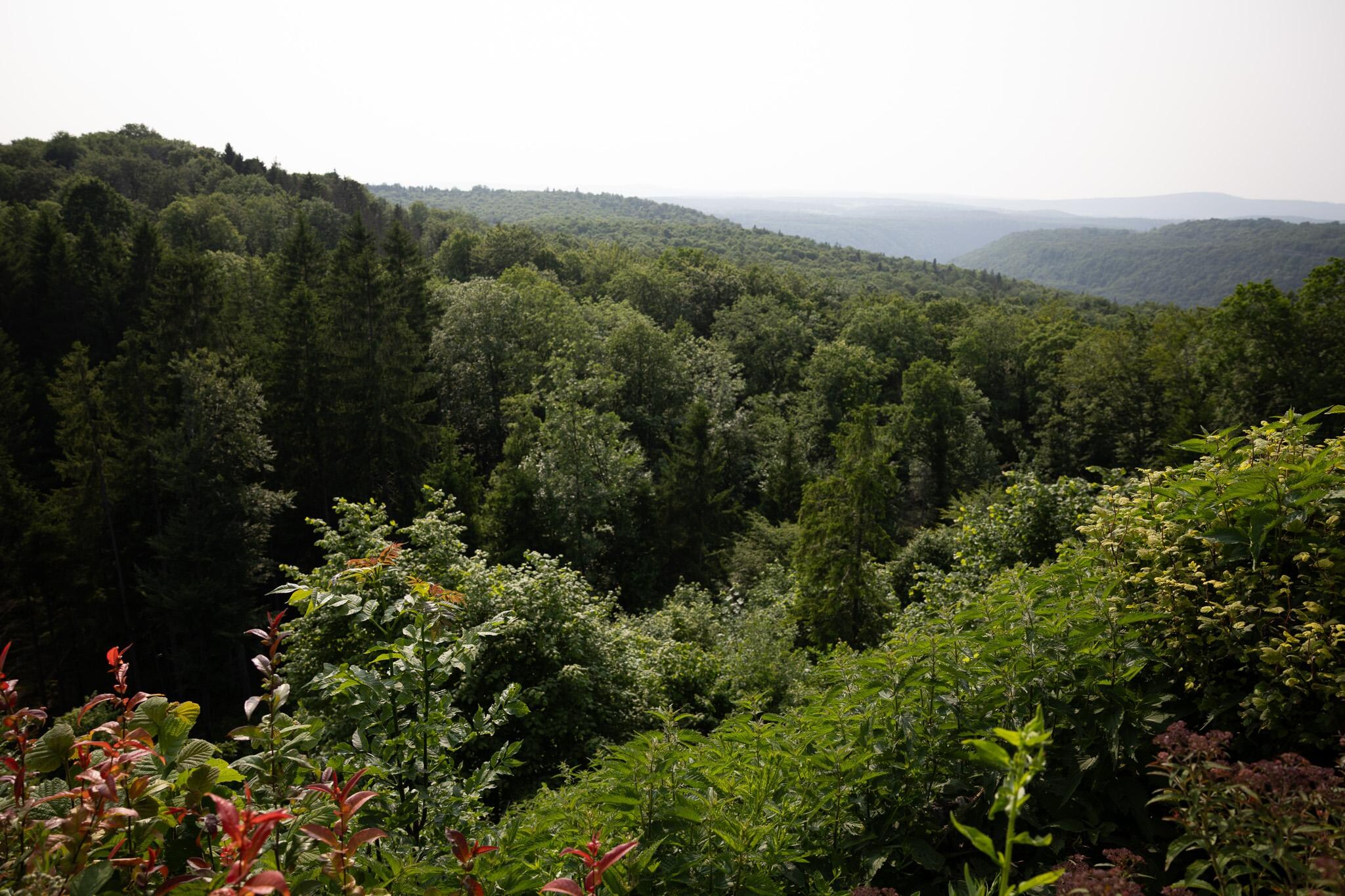 Aussicht