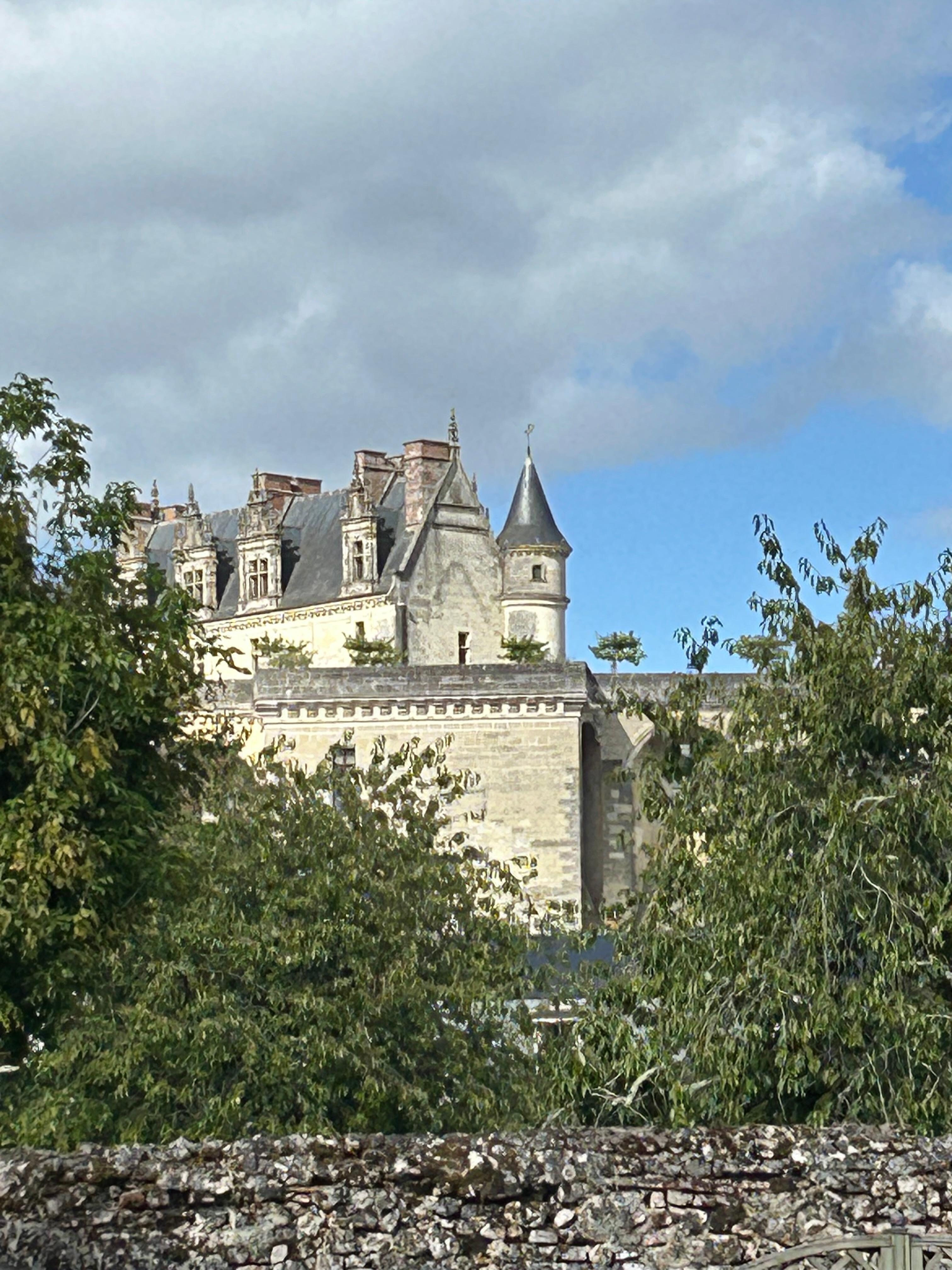 View of the castle from the yard!