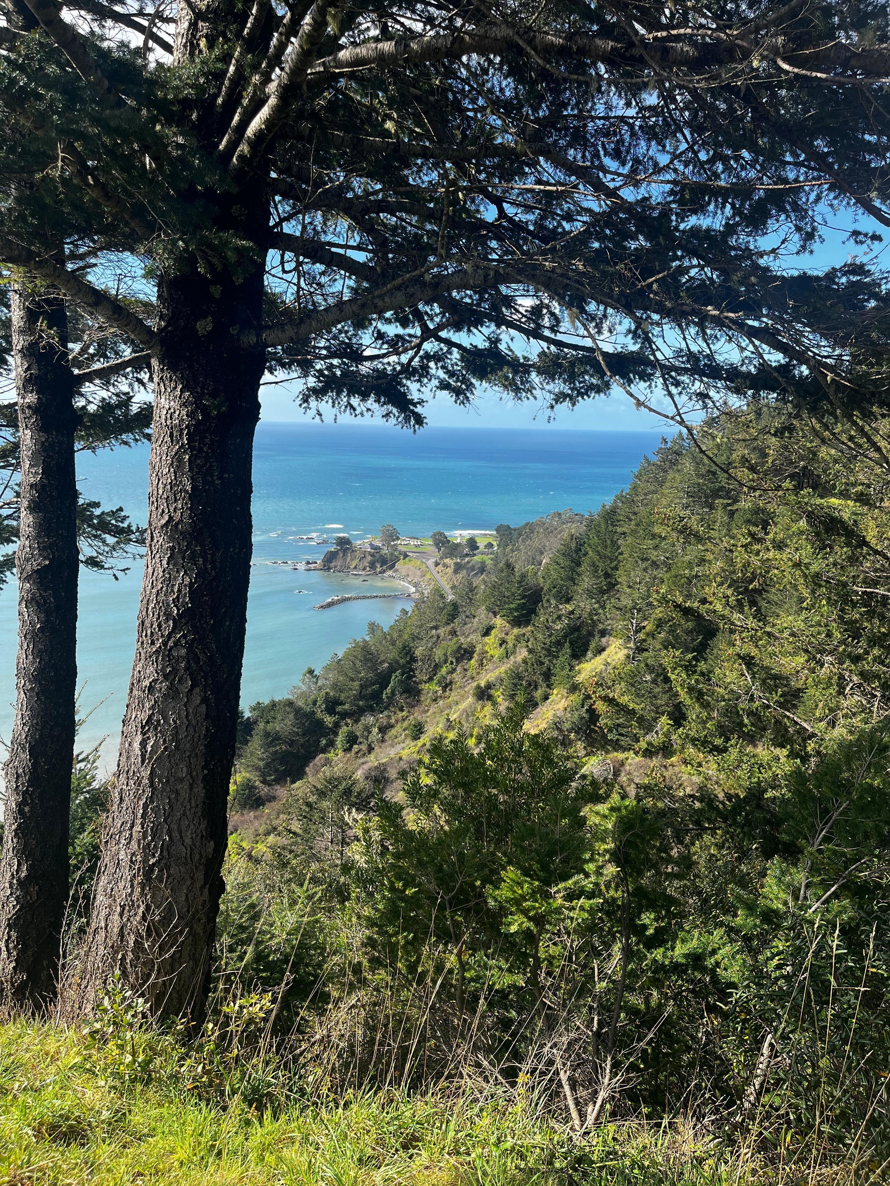 Short walk from house 