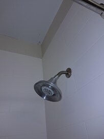 Mold in ceiling corner