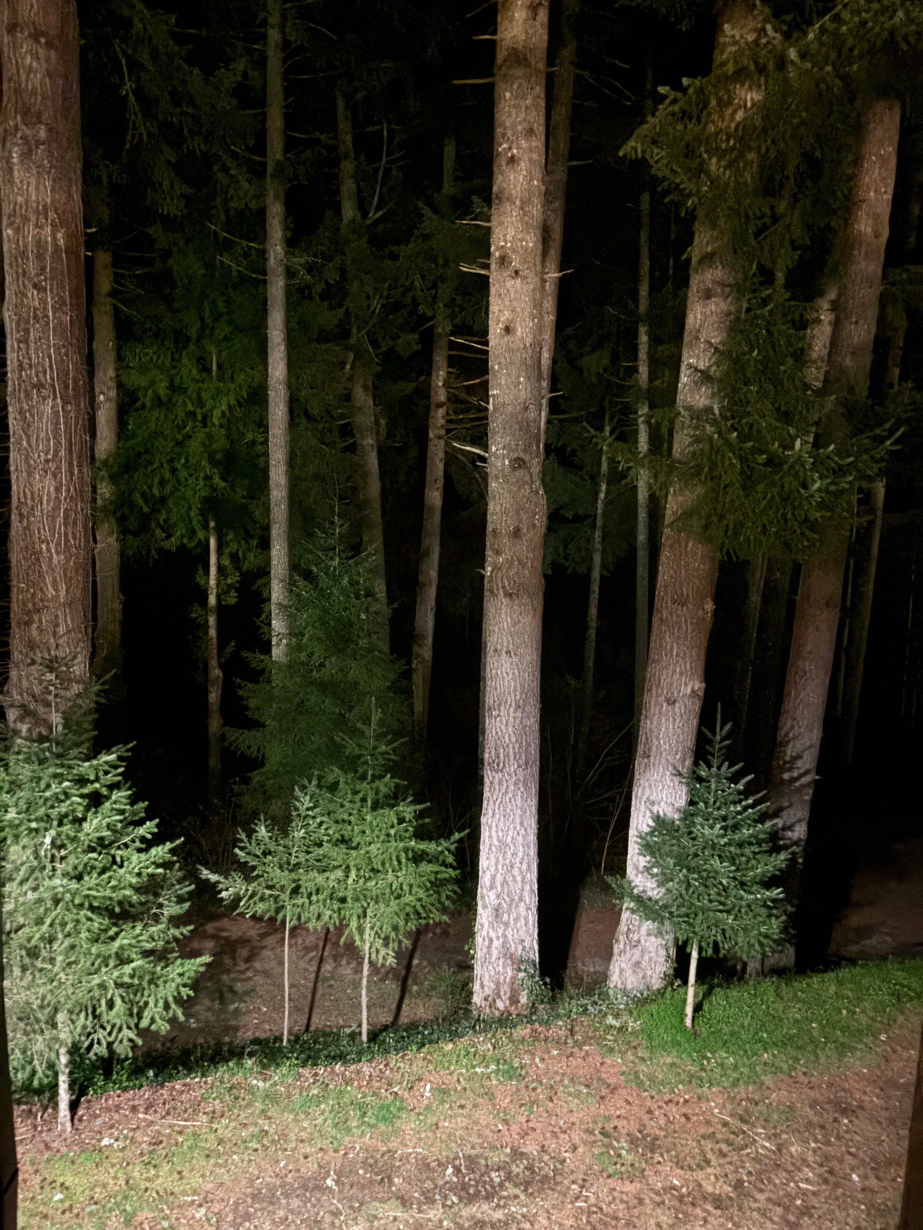 View from my room at night. Spooky but beautiful 