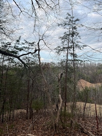 View from the backyard is gorgeous