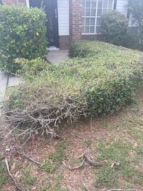 Poor landscaping for front entrance