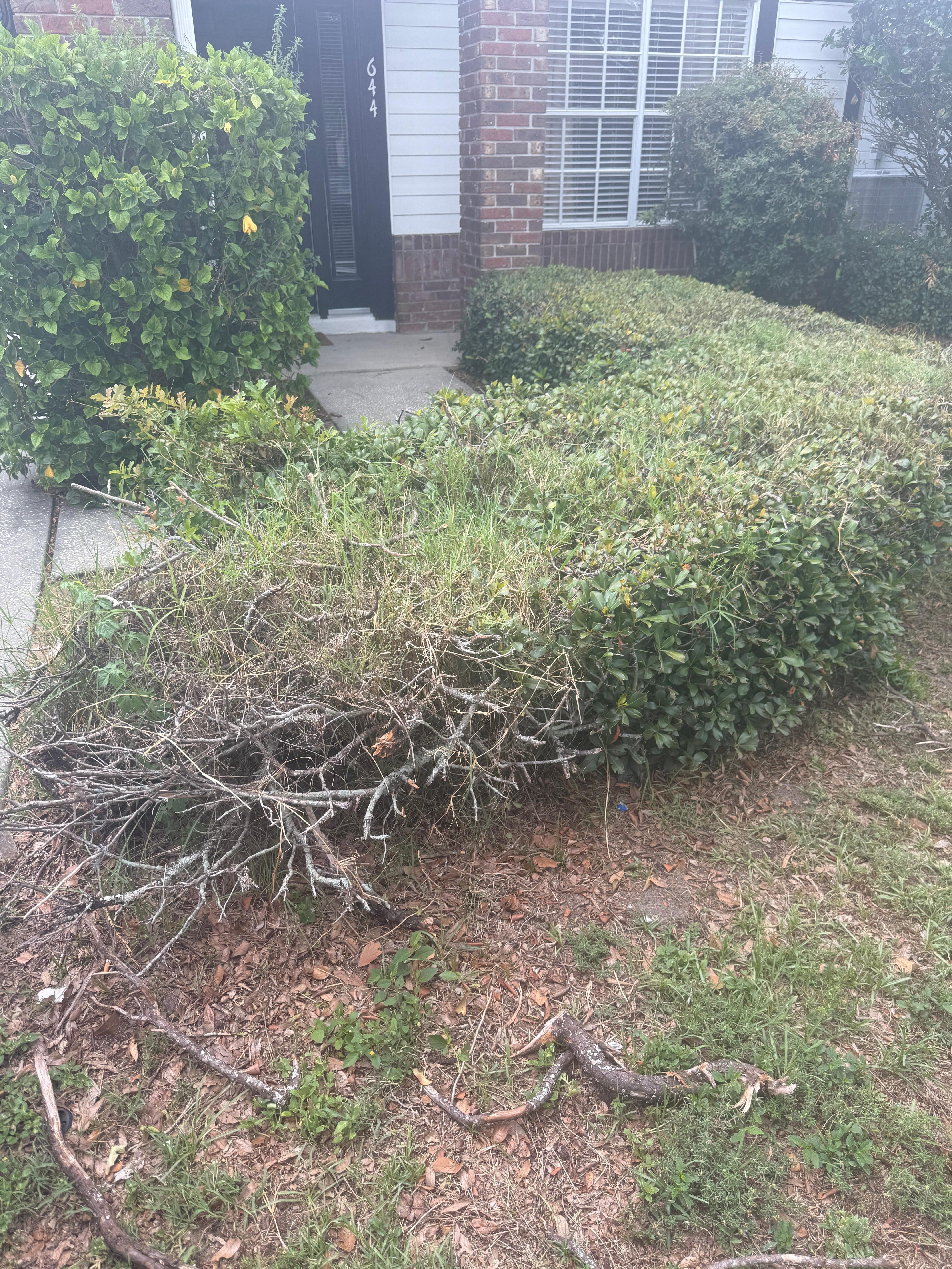 Poor landscaping for front entrance