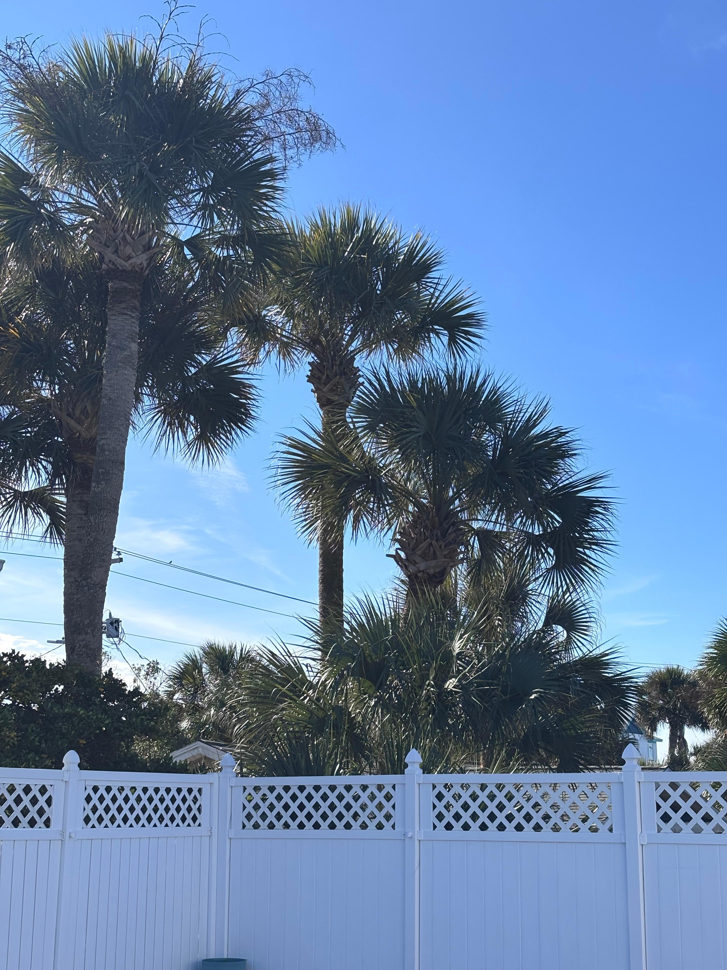 View from outdoor heated pool !