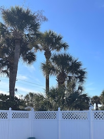 View from outdoor heated pool !