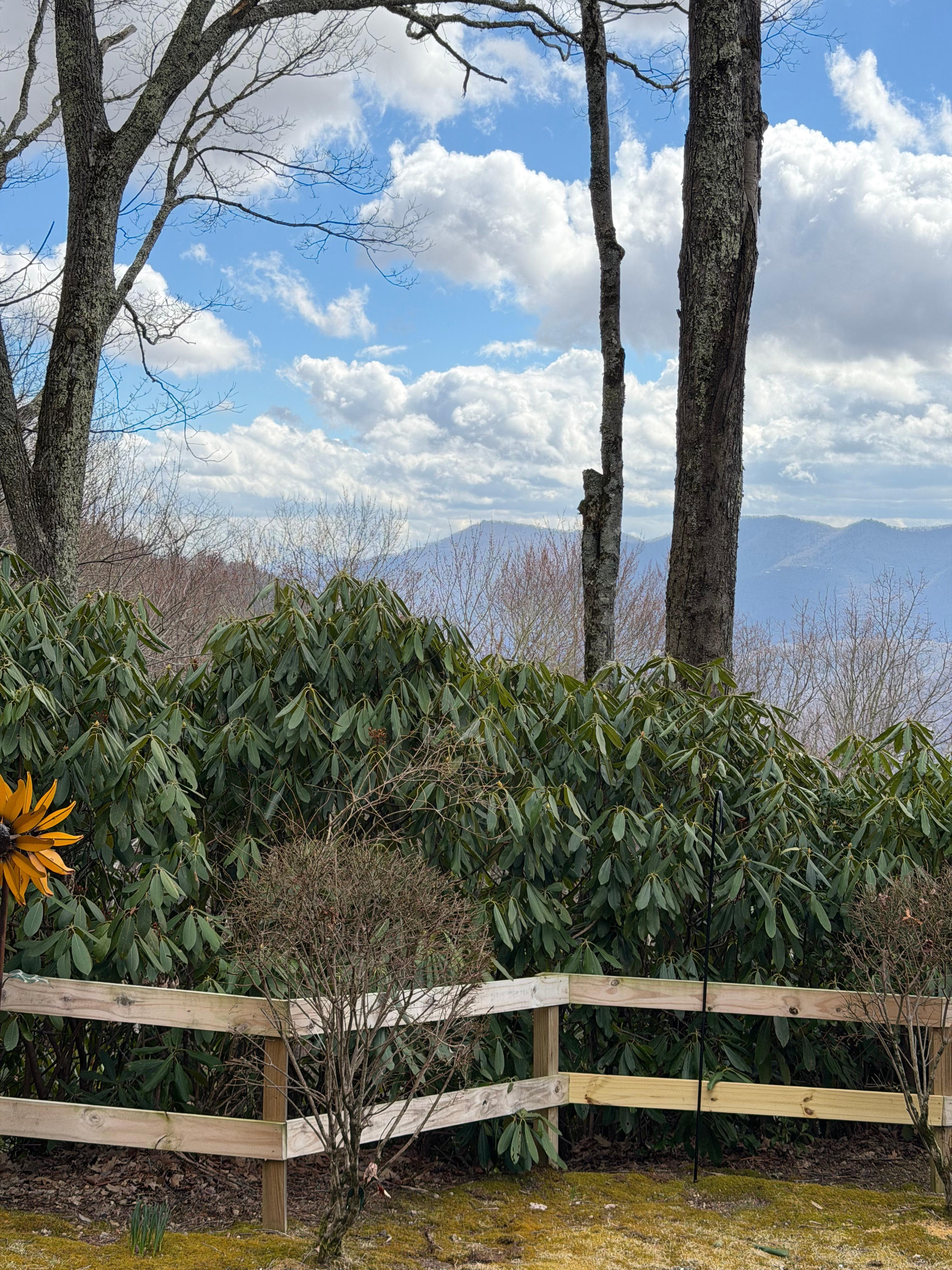 From the porch midday 