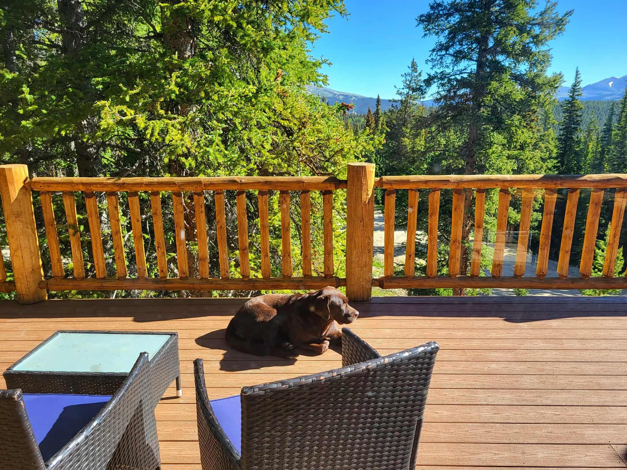 Cabin Deck 