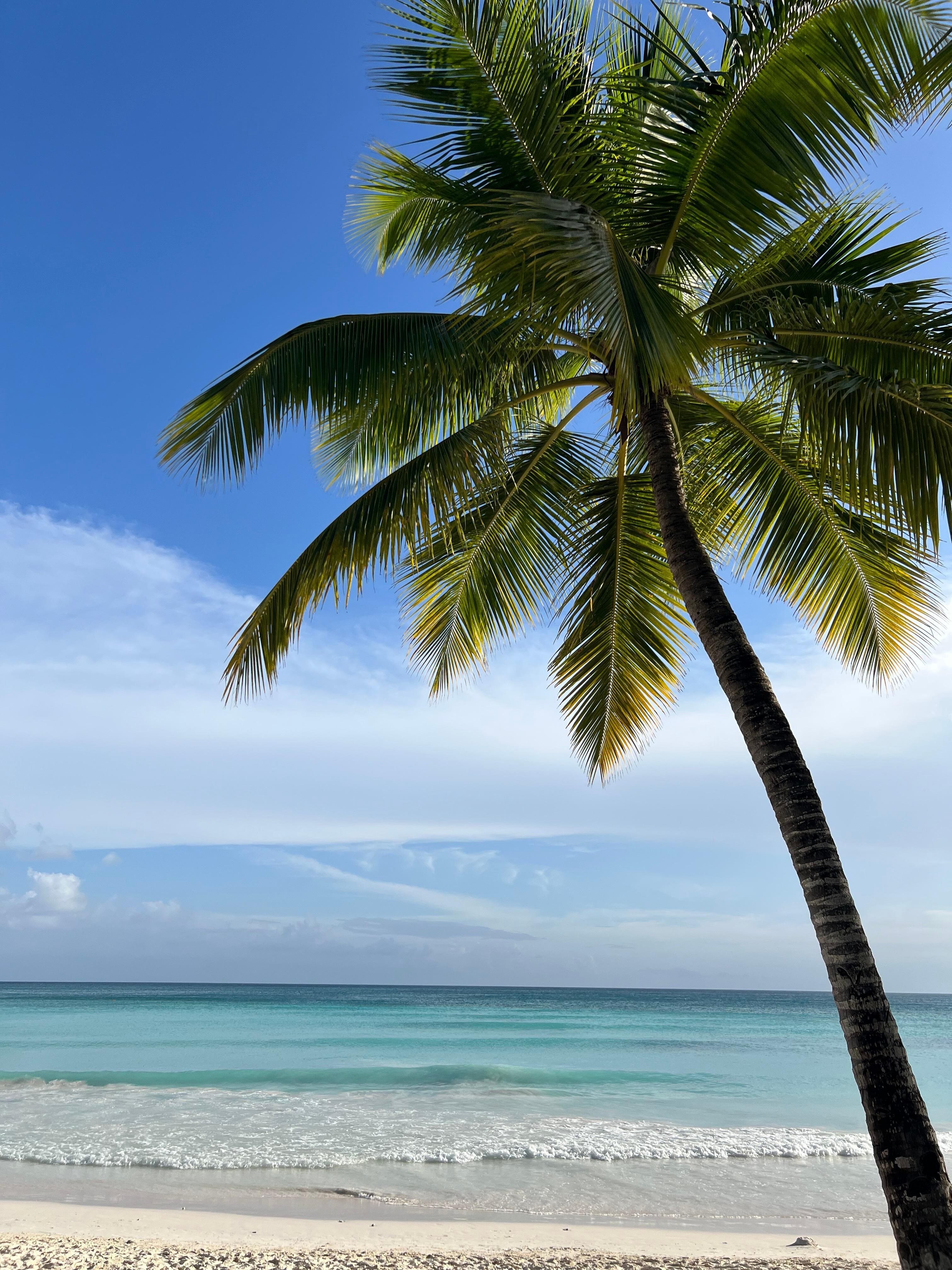 Saona Isle