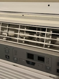 Moldy AC