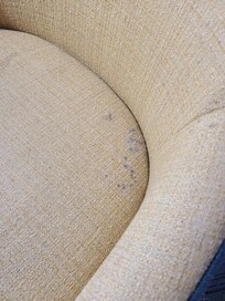 Moldy chair in room 415