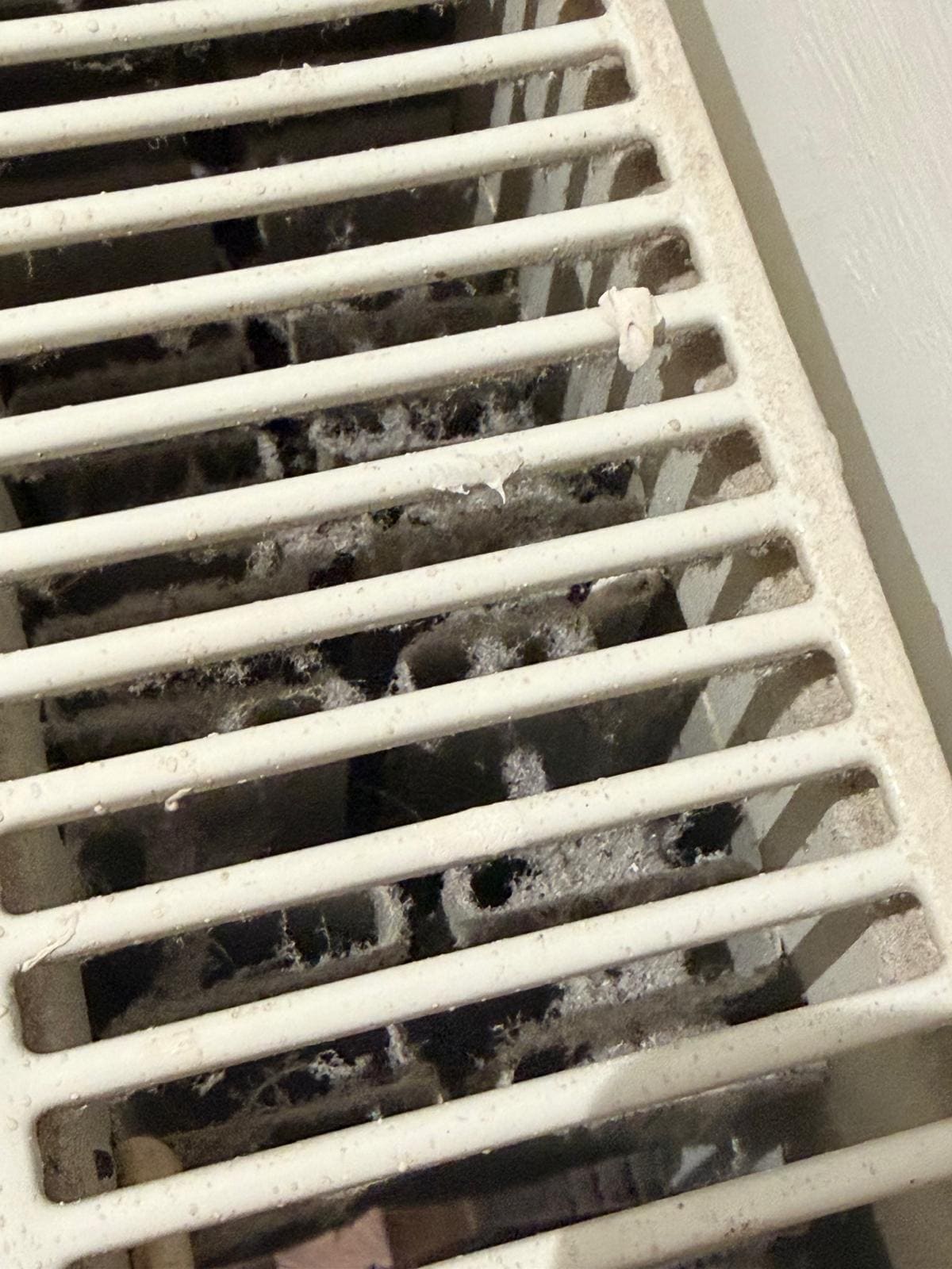 Never cleaned AC system