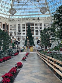 Beautiful decorations