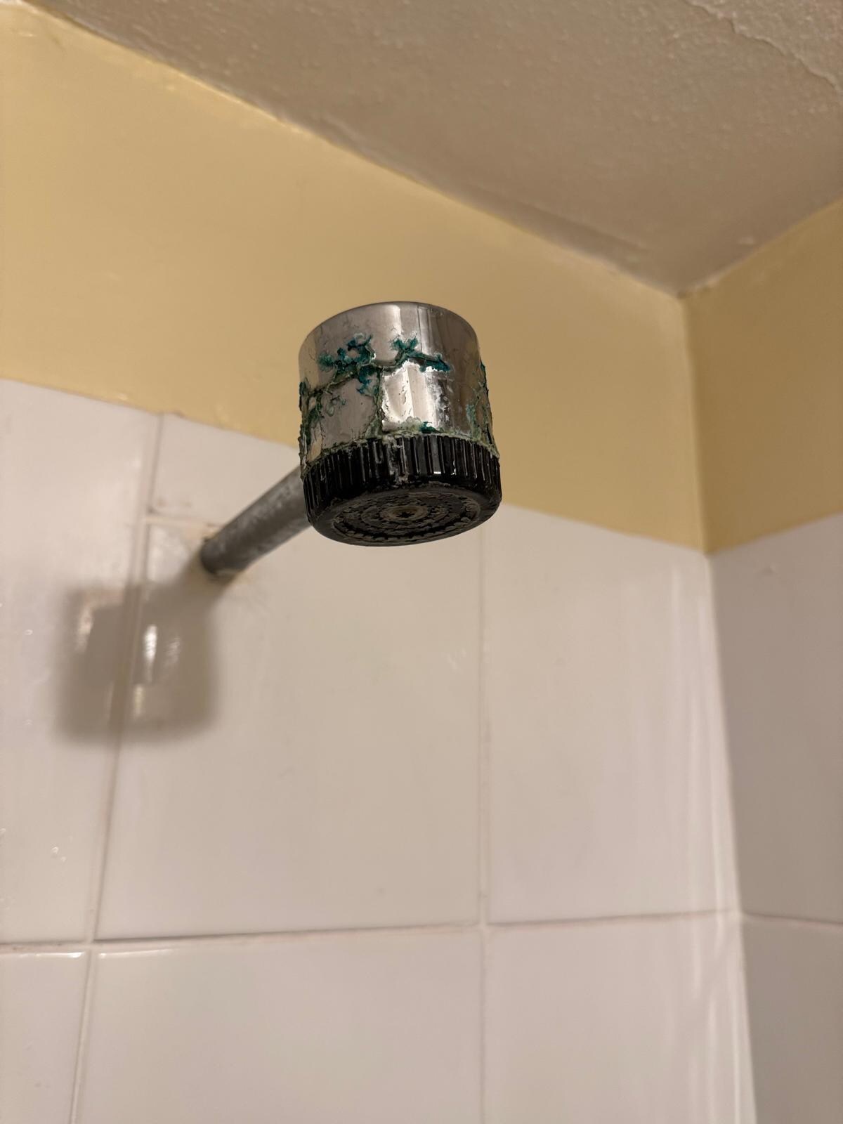 Awful shower head 