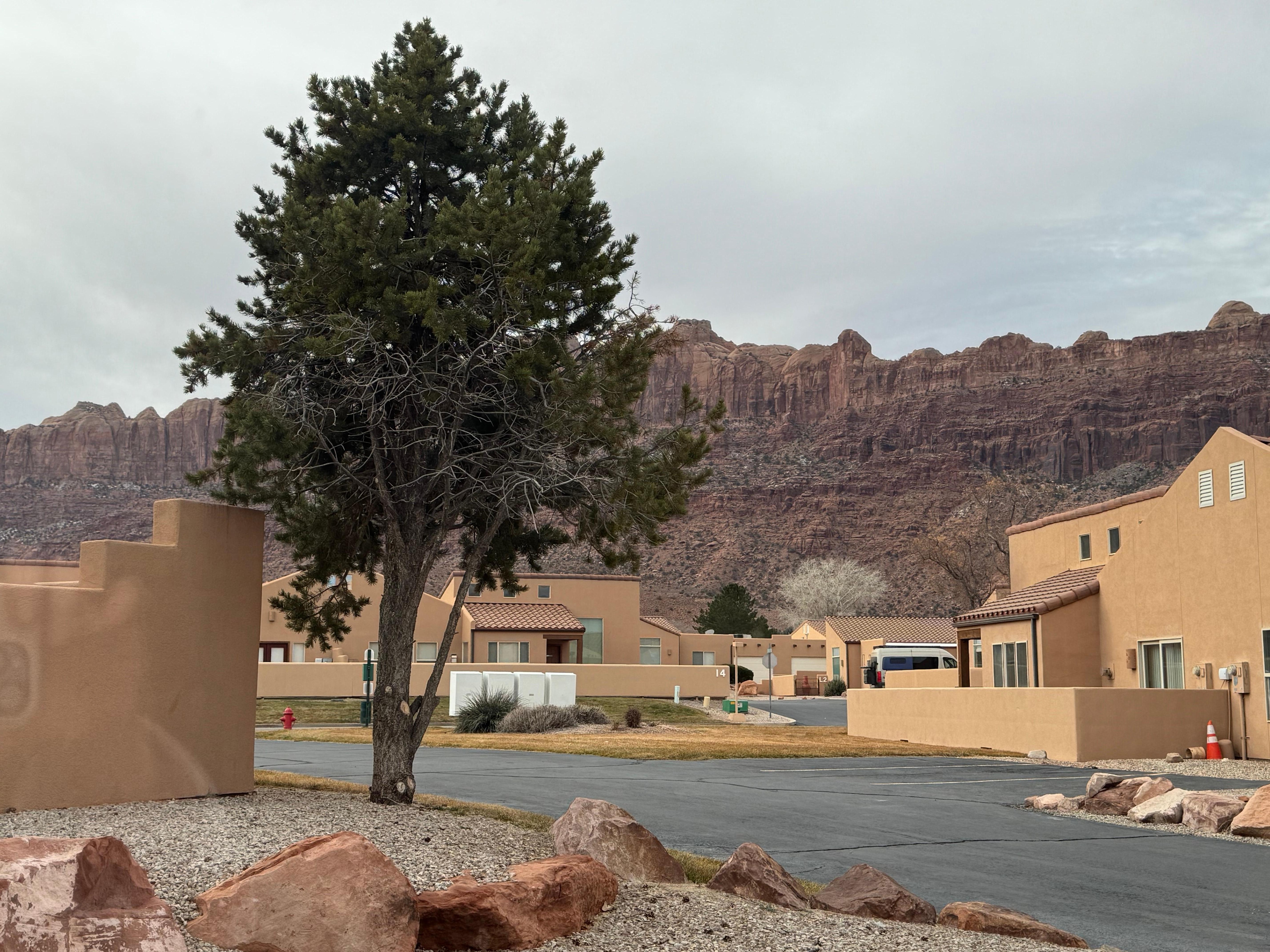 View from sitting room window 