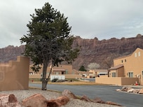 View from sitting room window