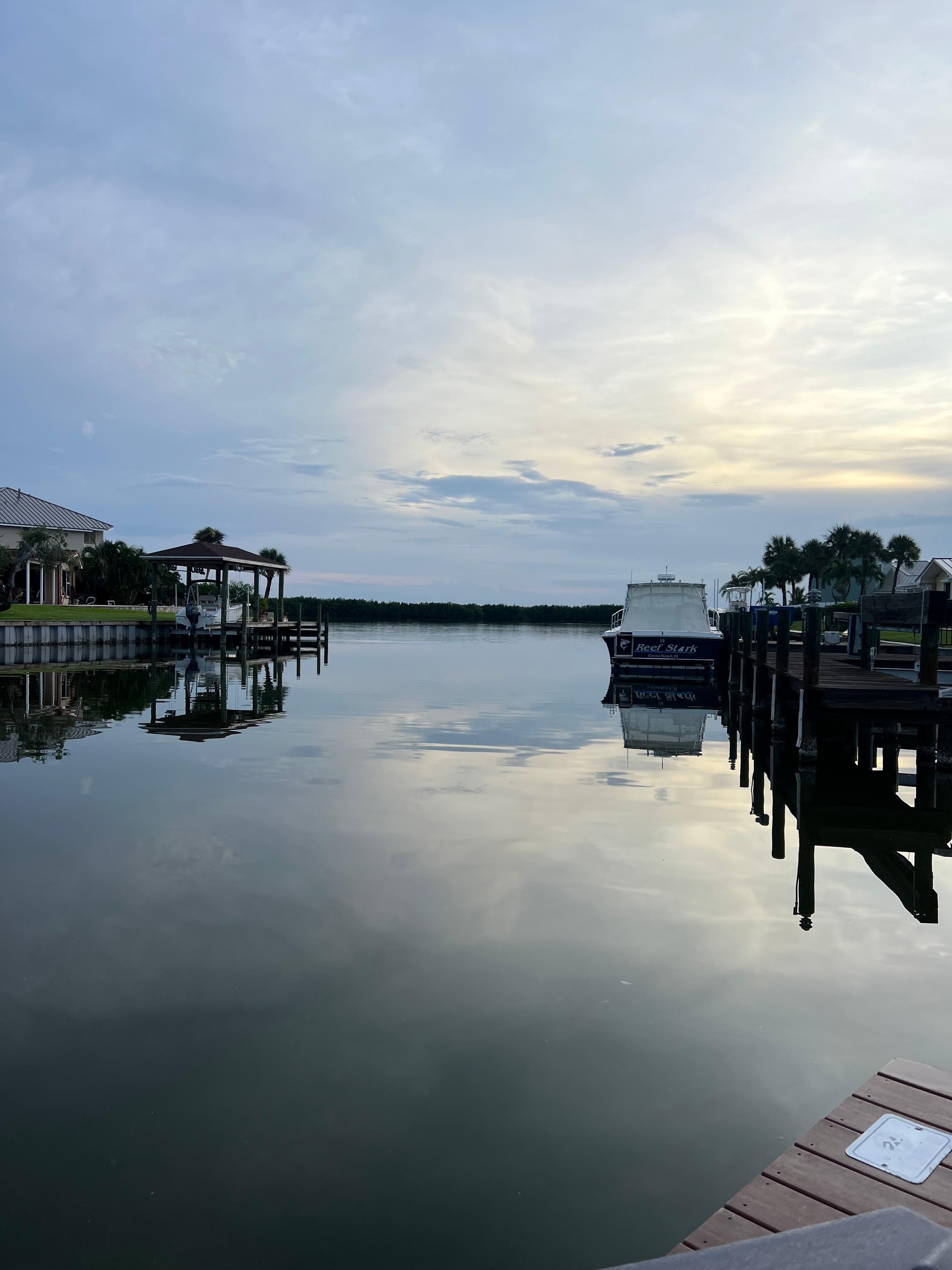 My morning coffee view!🐬