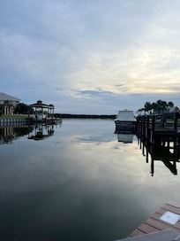 My morning coffee view!🐬