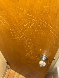 Animal scratchers on door