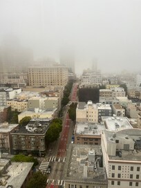 Bay view morning