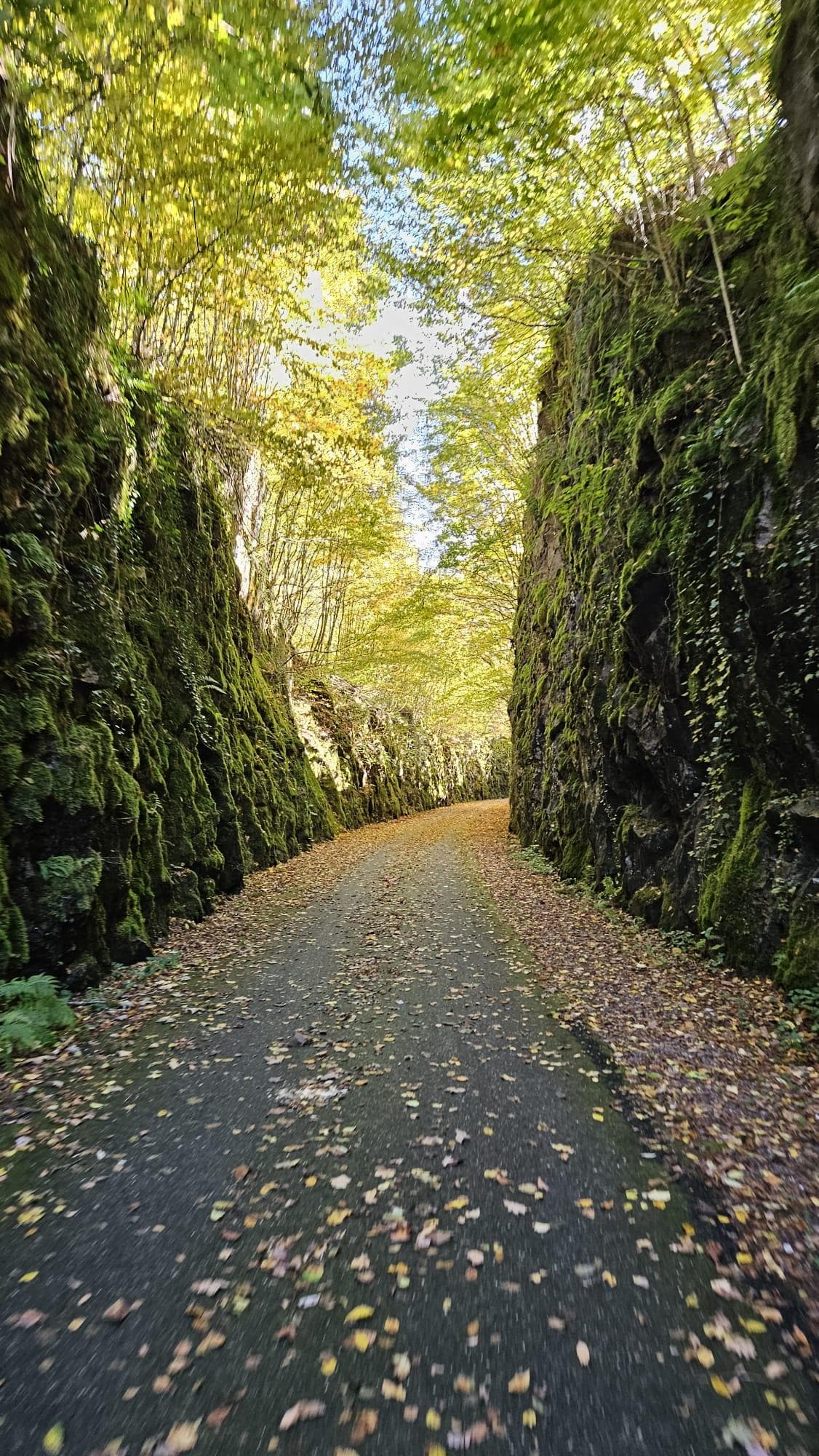 Fahrradweg la voie verte