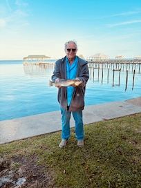 17” speckled trout caught off the pier.