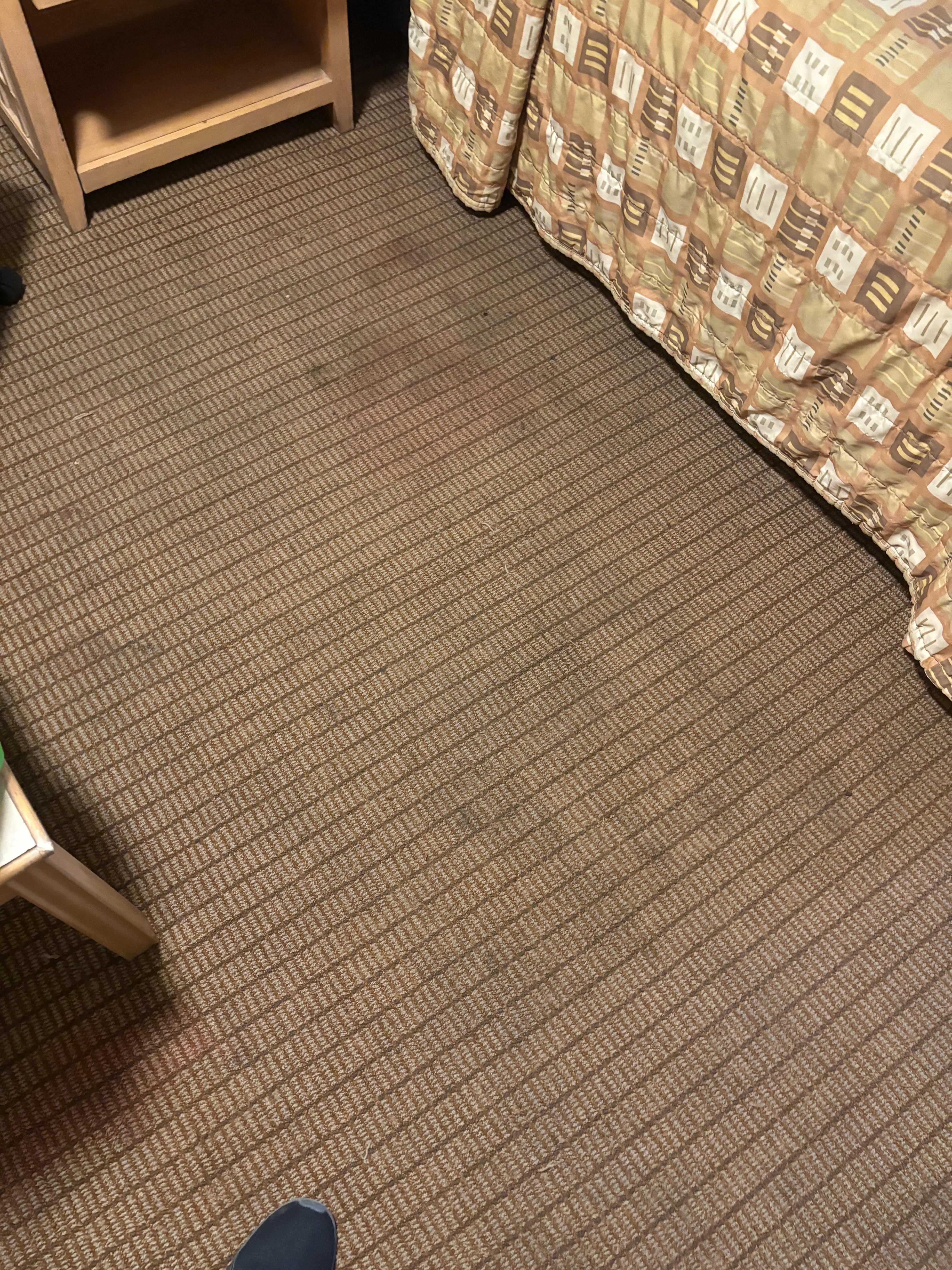 Dirty stained smelling carpet